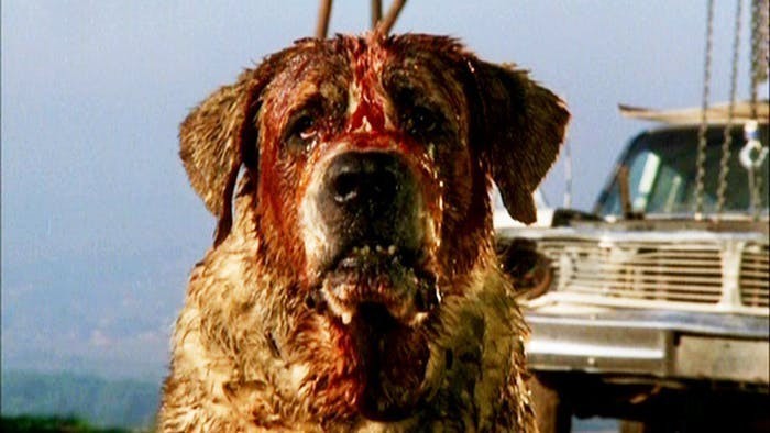 5. Cujo (1983)