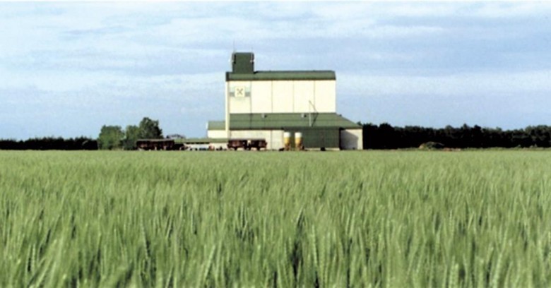 9. Time of the Wolf (2003)