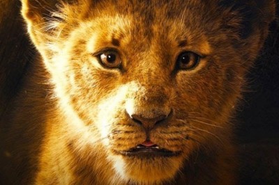 Aslan Kral (The Lion King) - 2019 Film İncelemesi 