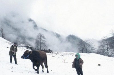 Kalandar Soğuğu / 2015 Film İncelemesi