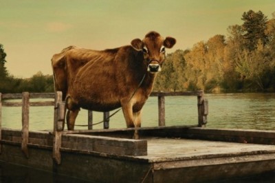 First Cow / 2019 Film İncelemesi