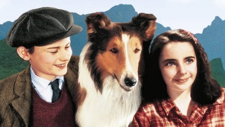 Lassie / 1954 Dizi İnceleme
