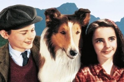 Lassie / 1954 Dizi İnceleme